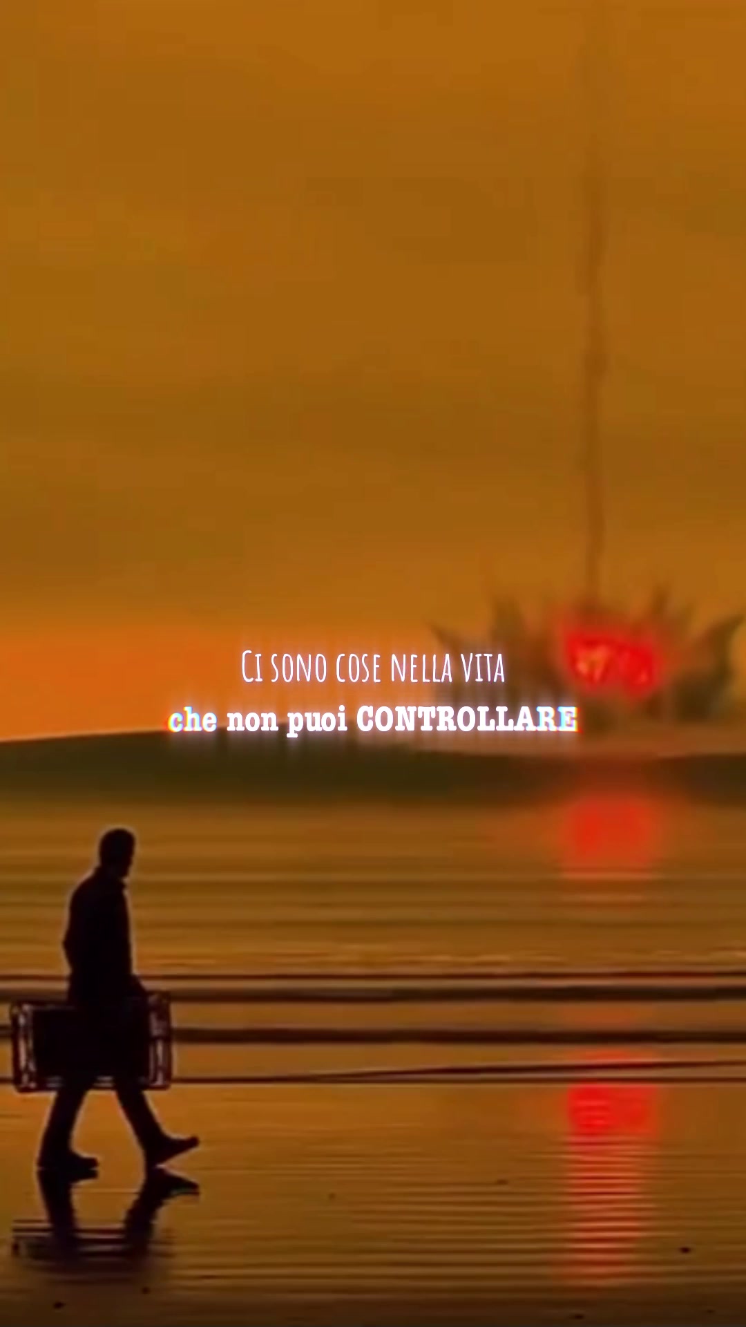 @matteogracis