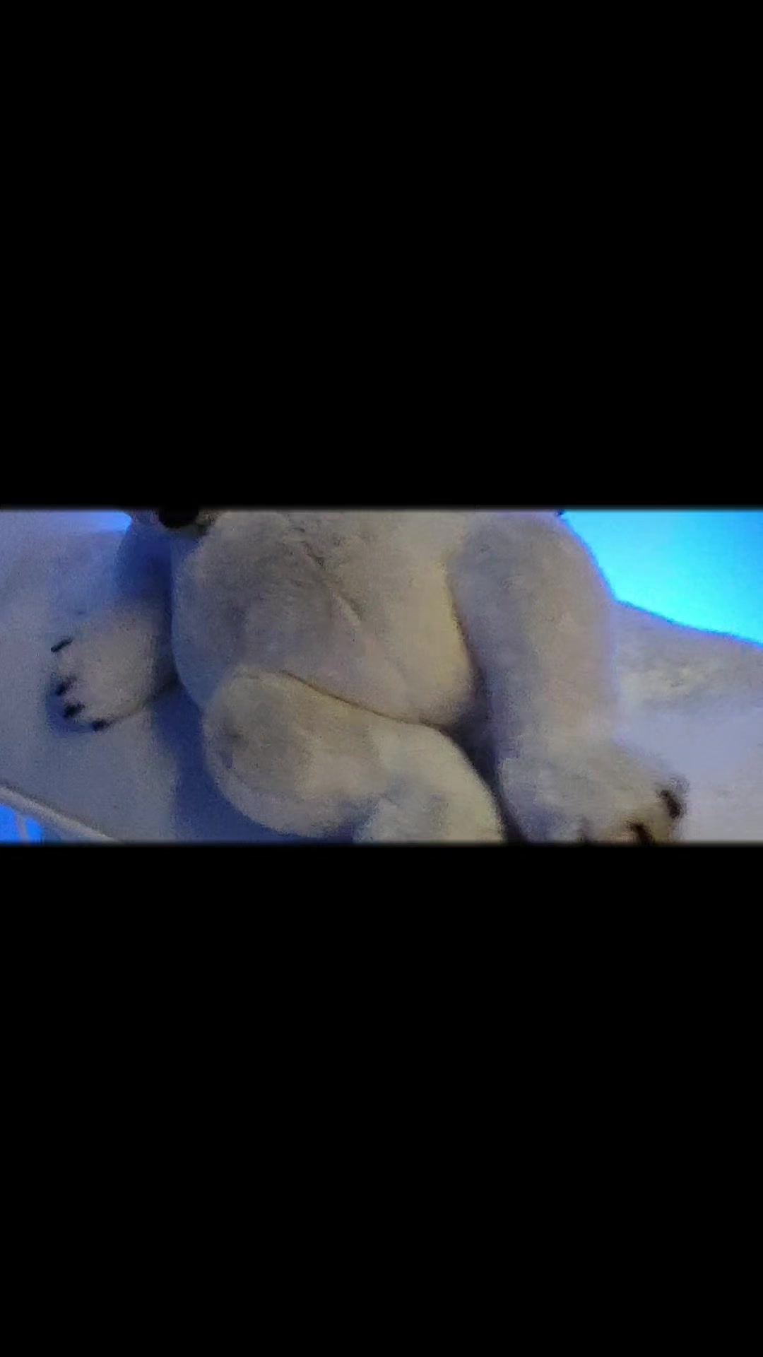 @Anja's WeißeWunderWelt