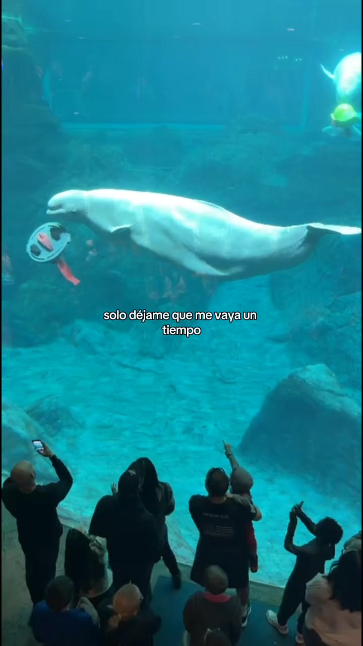 @Dany