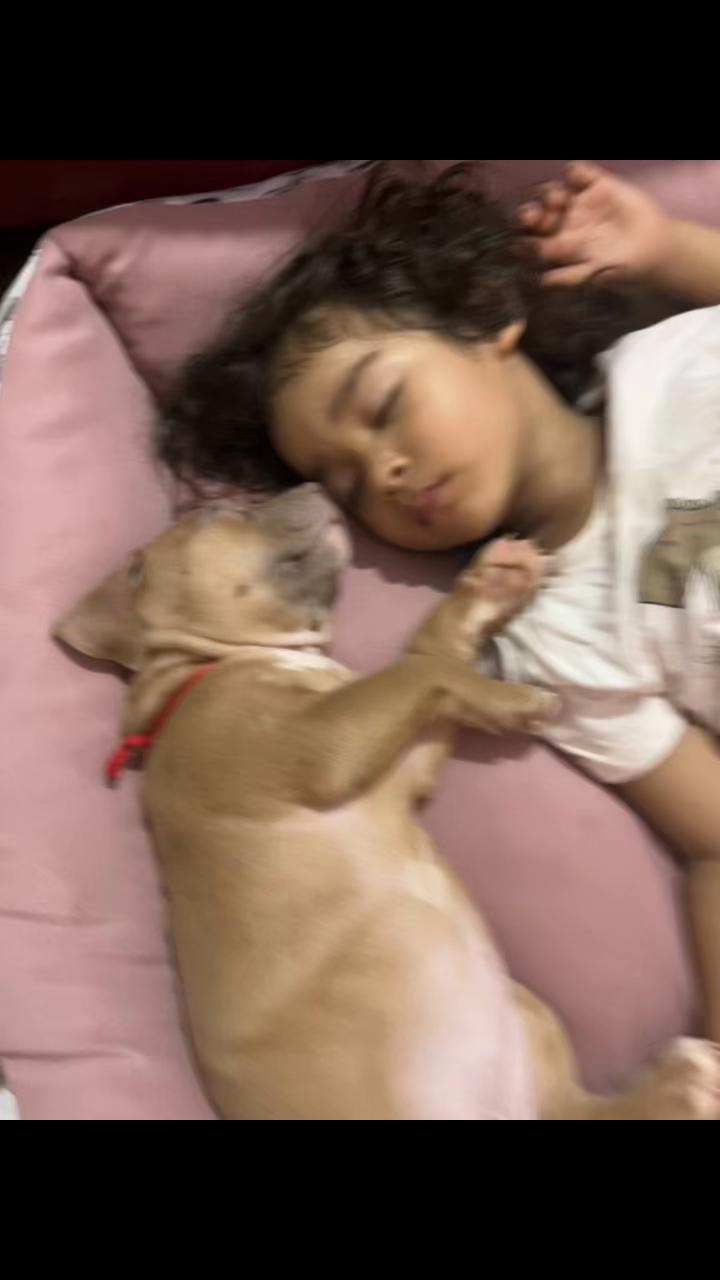 @🍯