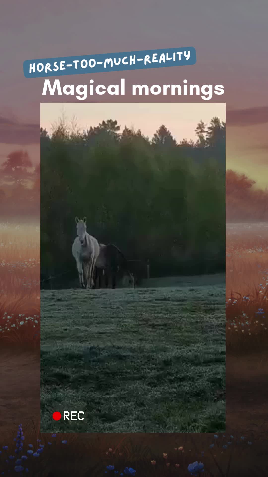 @Horse Reality