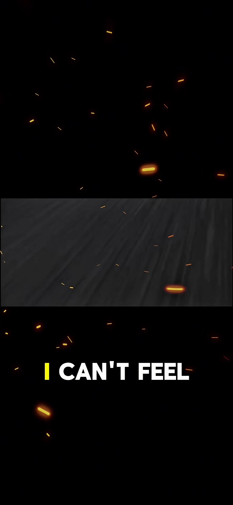 @CarPrincipal