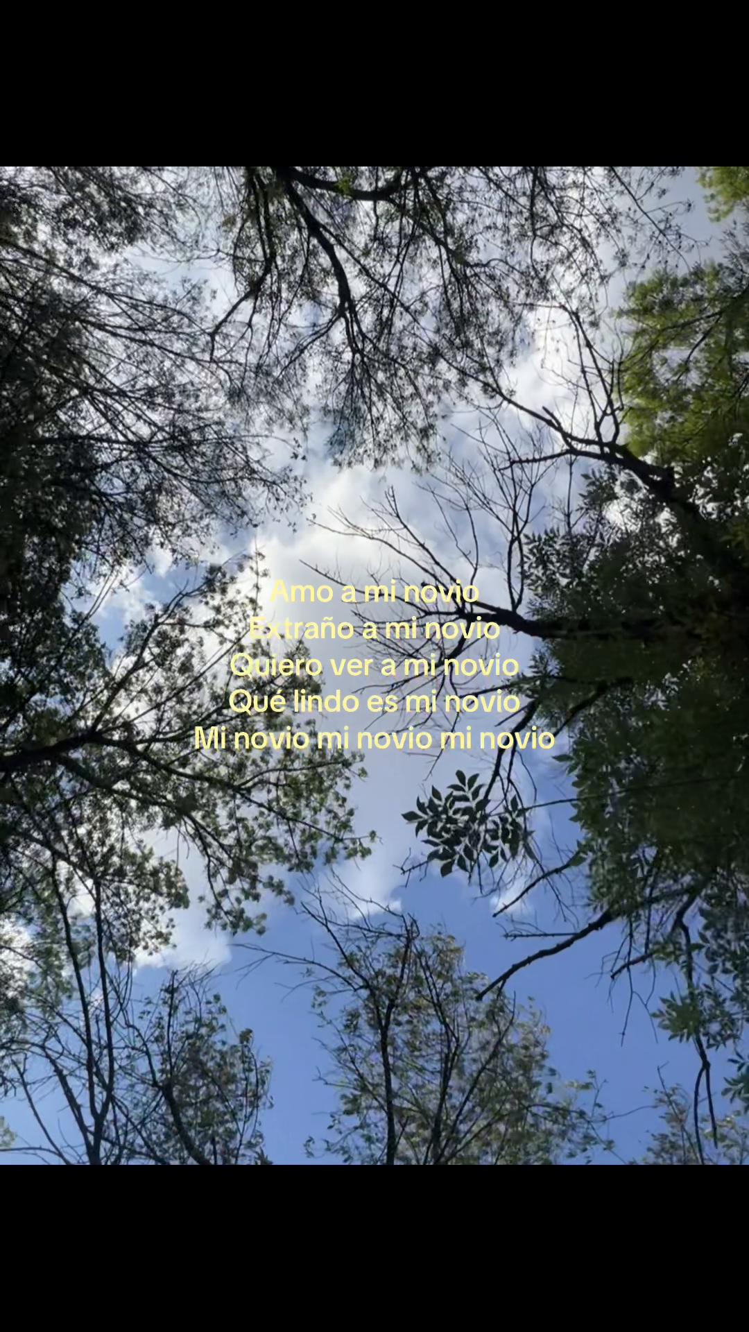 @silence.zel