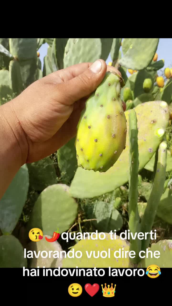 @Stefano Zagara