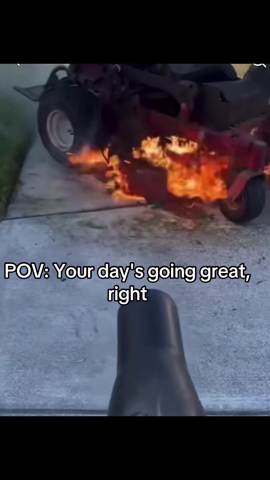 @Scout and Bob