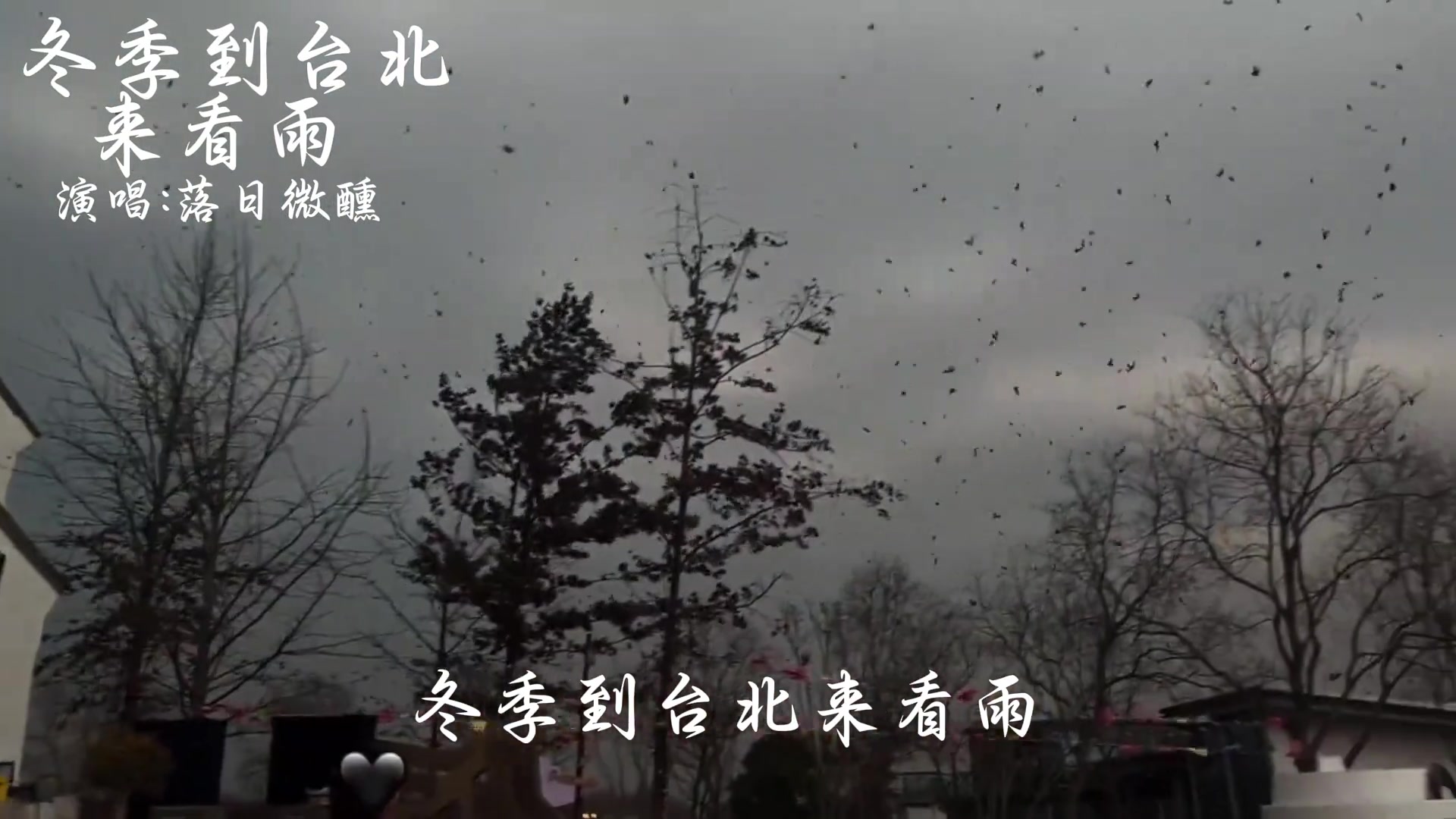 @ᰔᩚ᭄ℛ潇洒走一回꧔ꦿᩚ࿐🕊