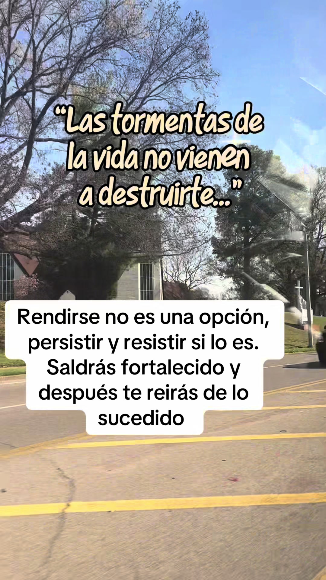 @Luna H.