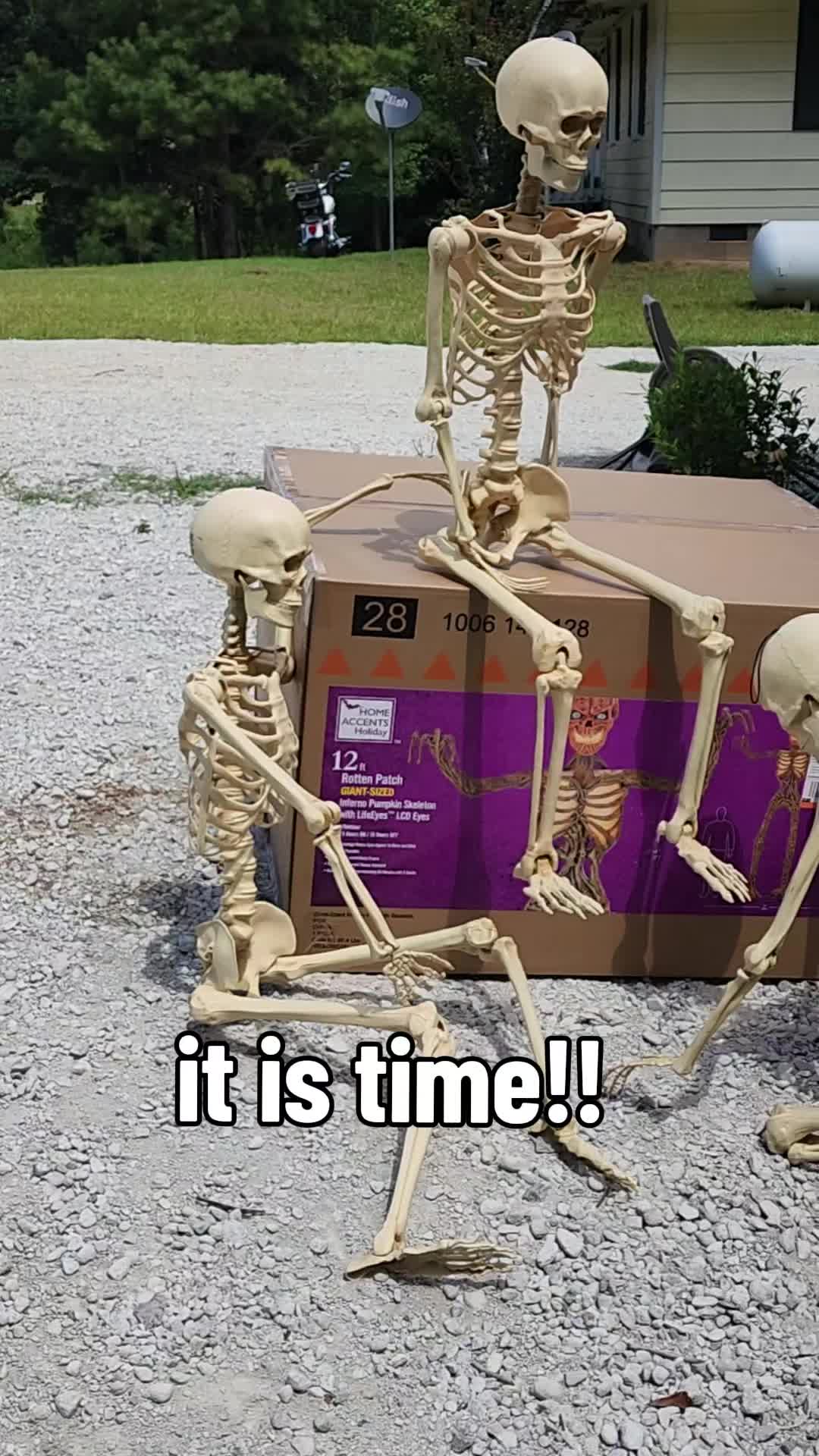 @Skeletonsonbeaverpond❌️🦆☠️