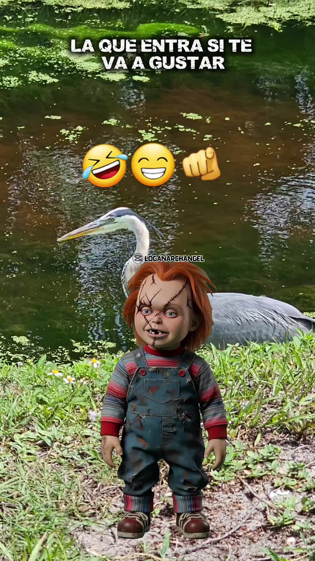 @Gabrielito 502