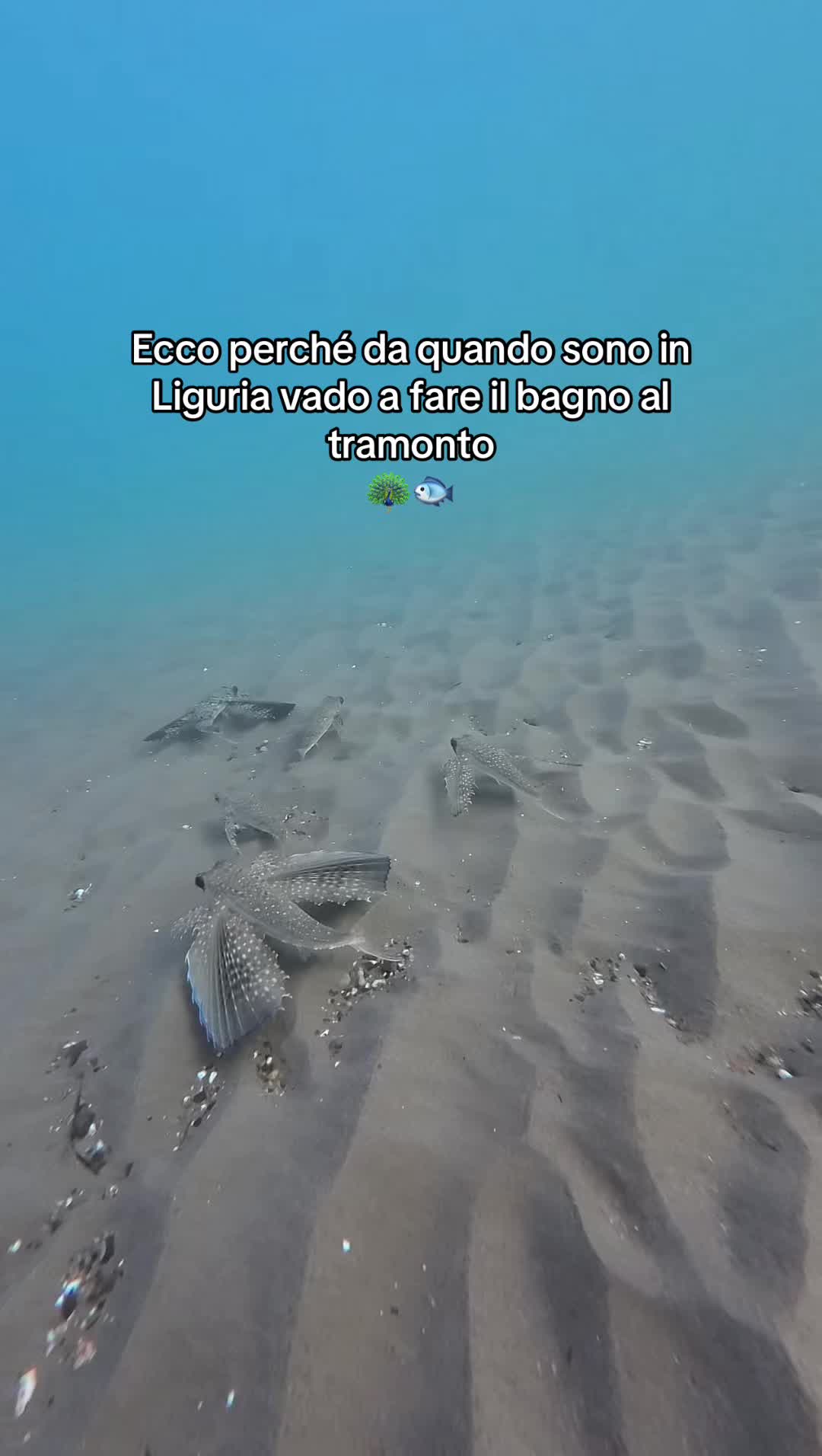@Marta Di Muro