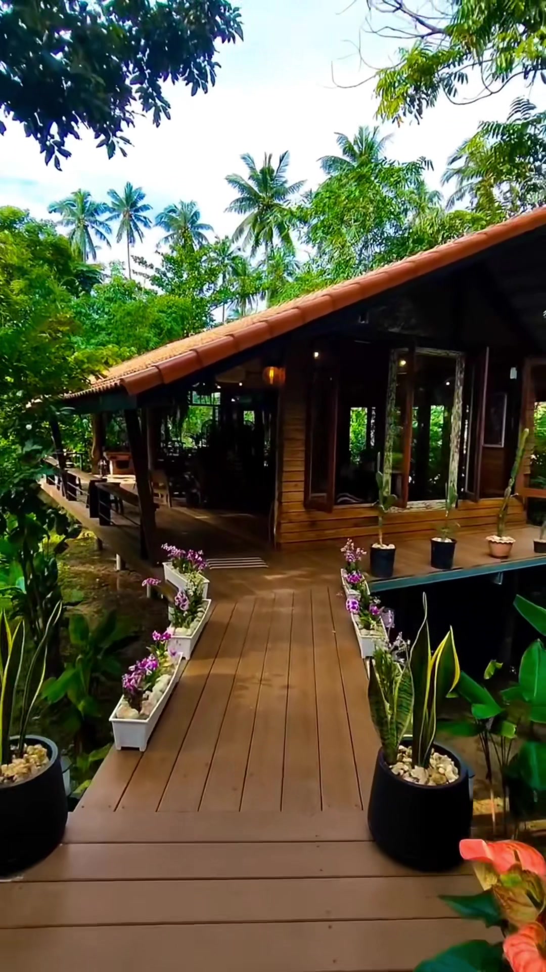 @🏝️ Magical Island Samui 🌴🍹