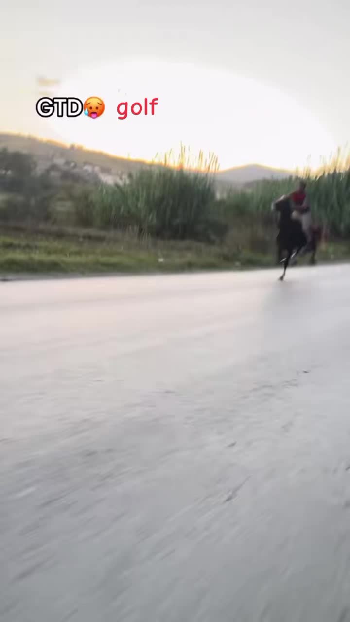 @🐦&zwj;🔥🇩🇿𝕞𝕒𝕪𝕤𝕥𝕣𝕠31🐦&zwj;🔥