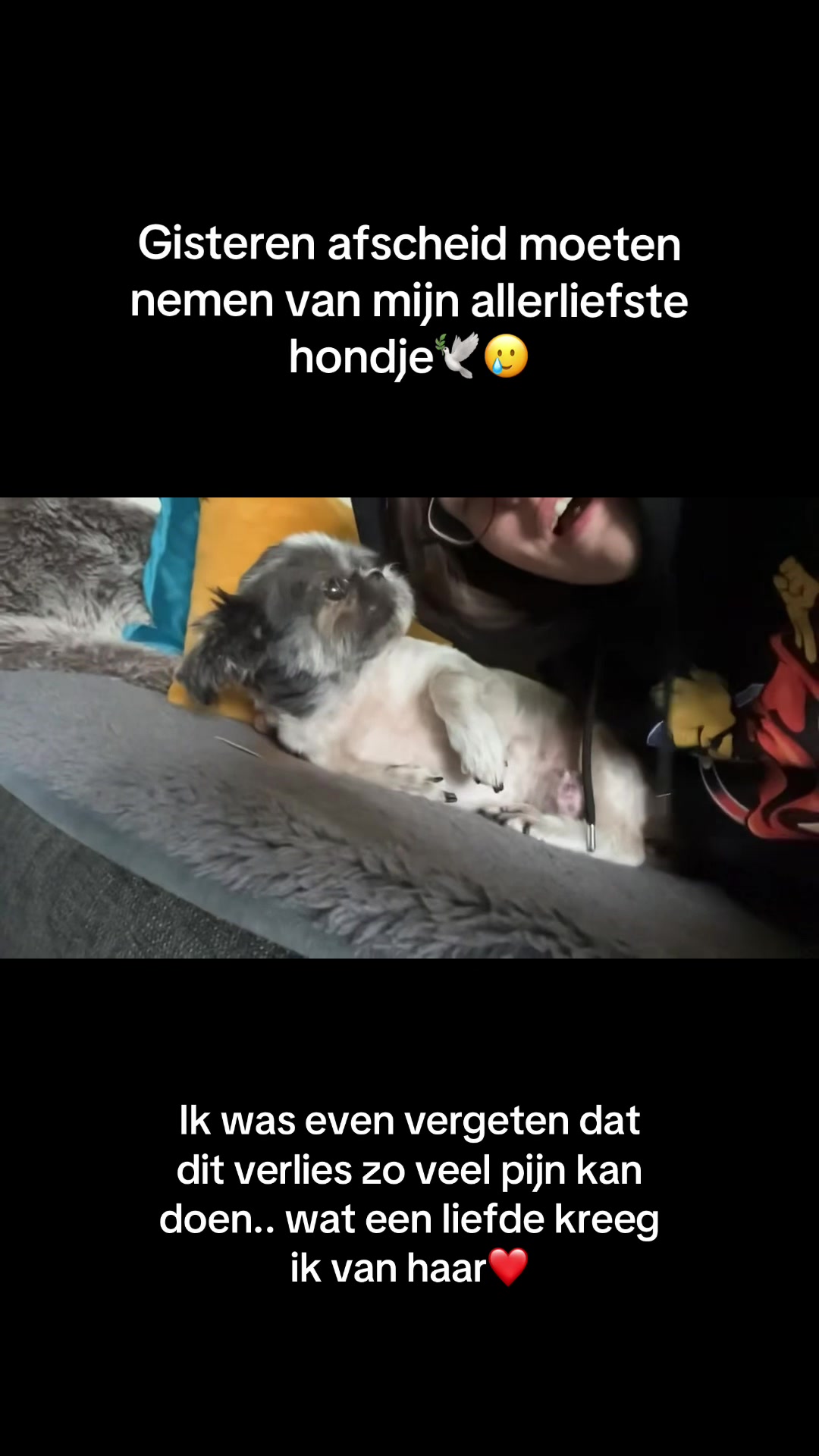 @Cecilia🚀
