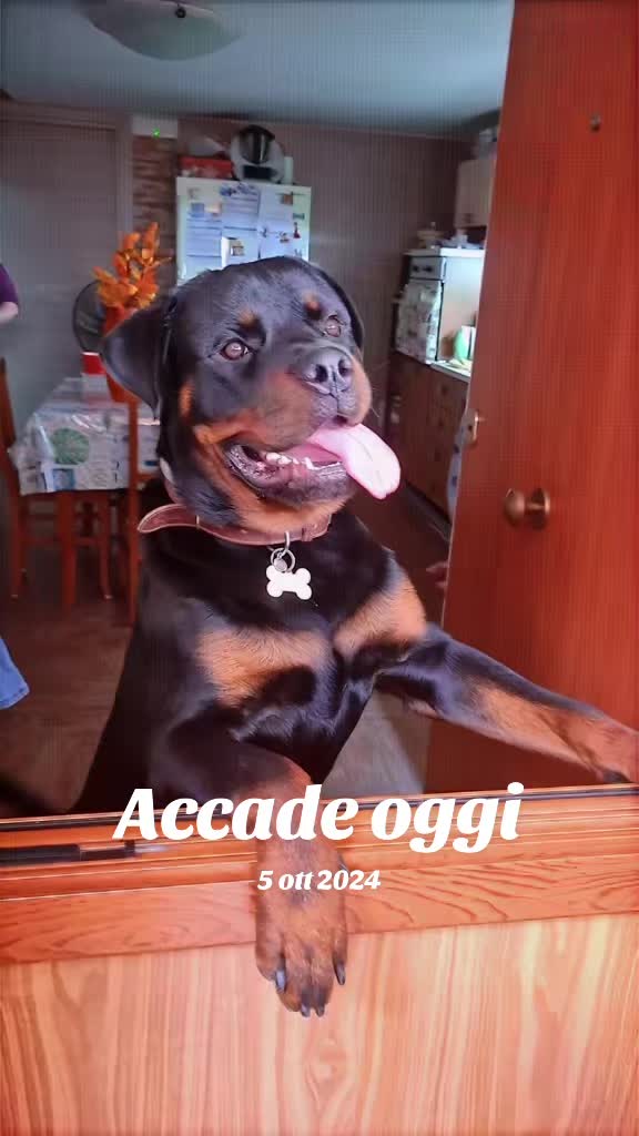 @Fortuna_Parlato