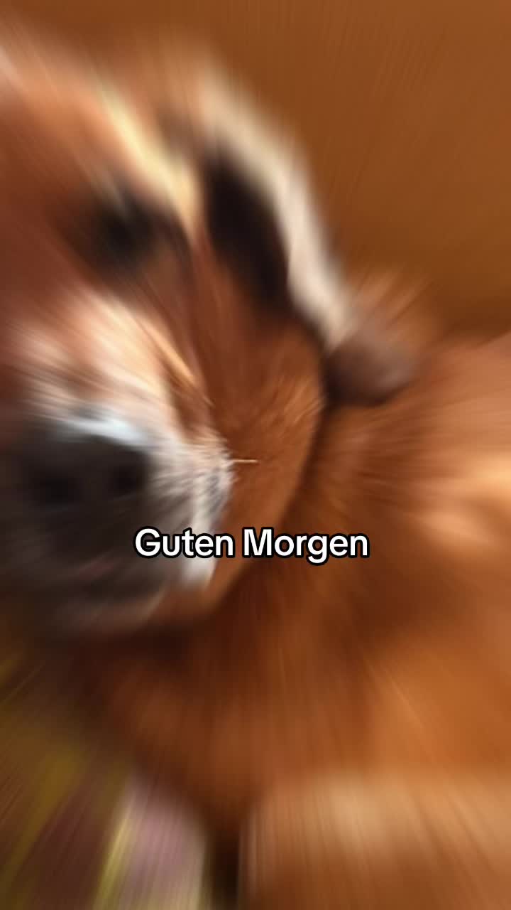 @Emma u.Biggi
