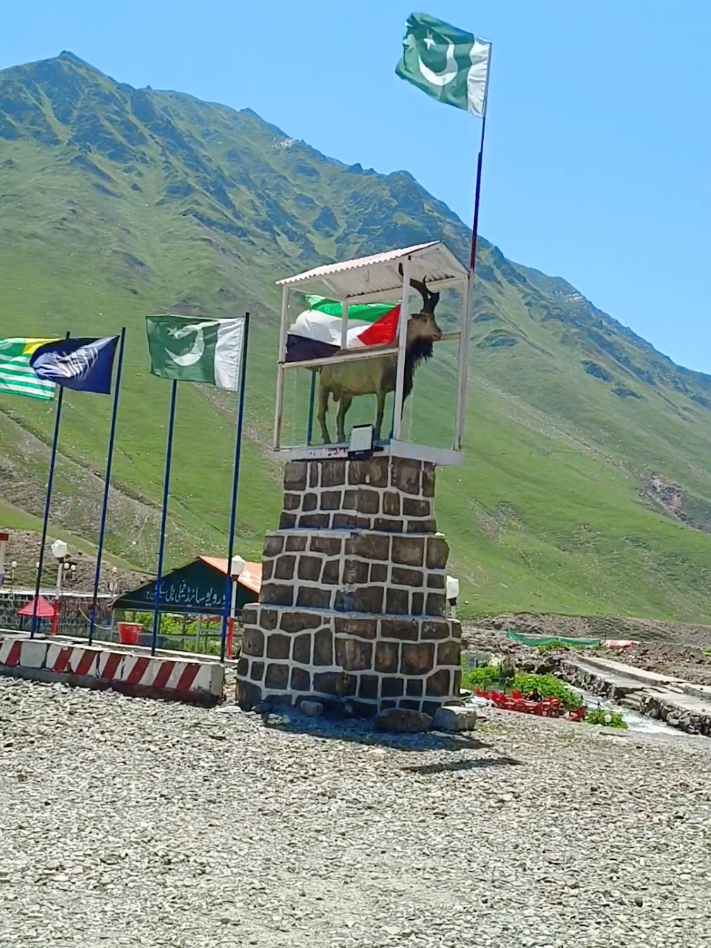 @Suliman Gul🇵🇰🇵🇰