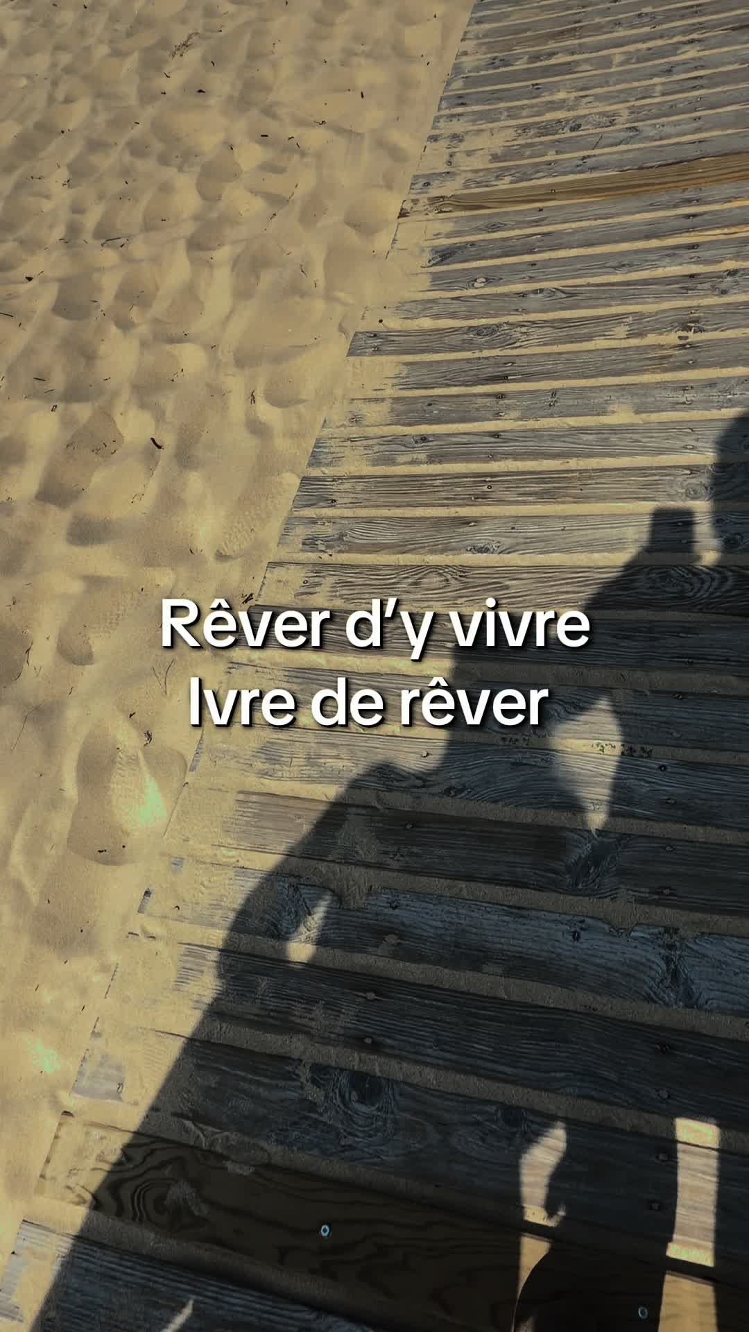 @theolecaviste