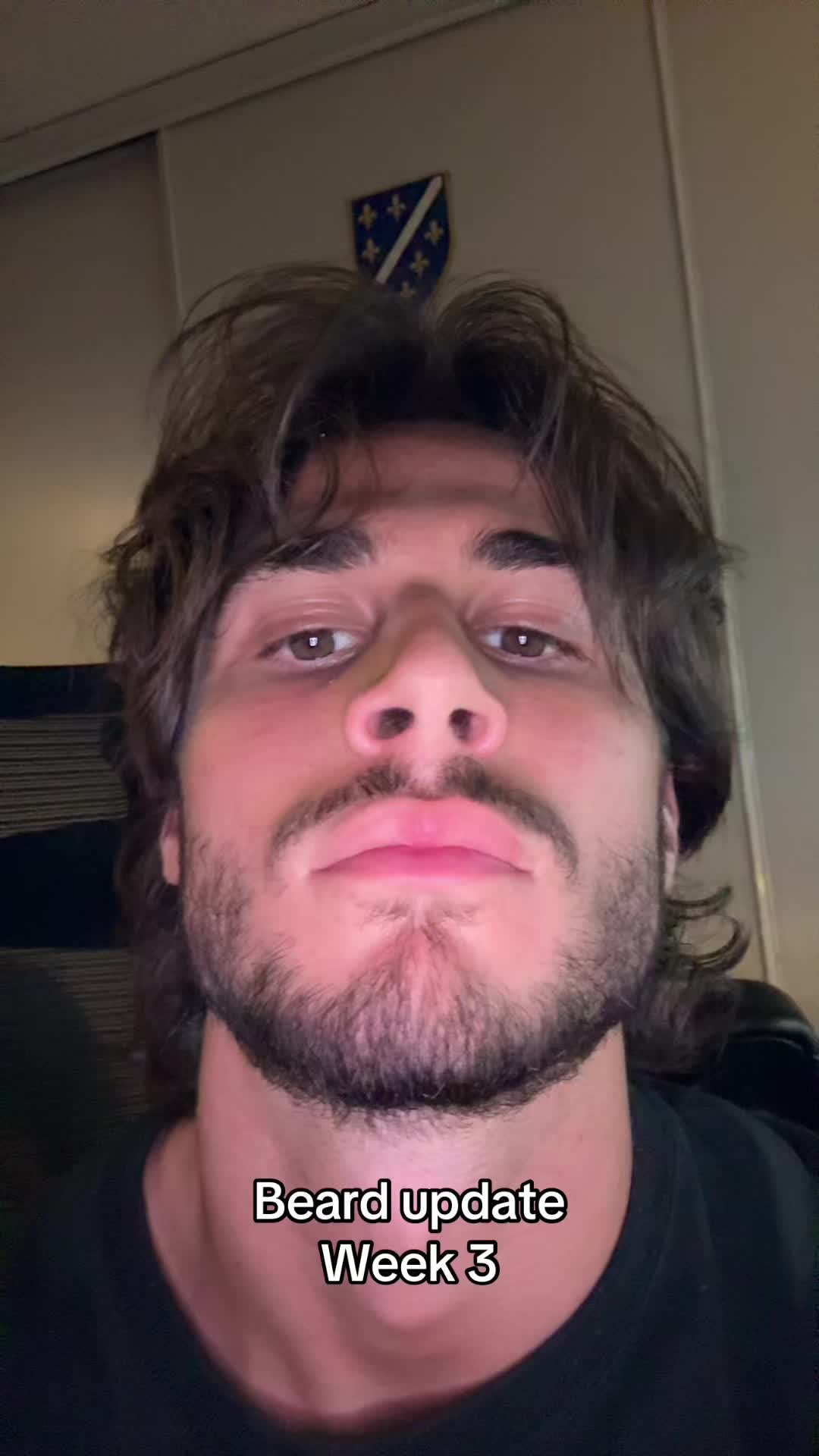 @Euro ⚜️