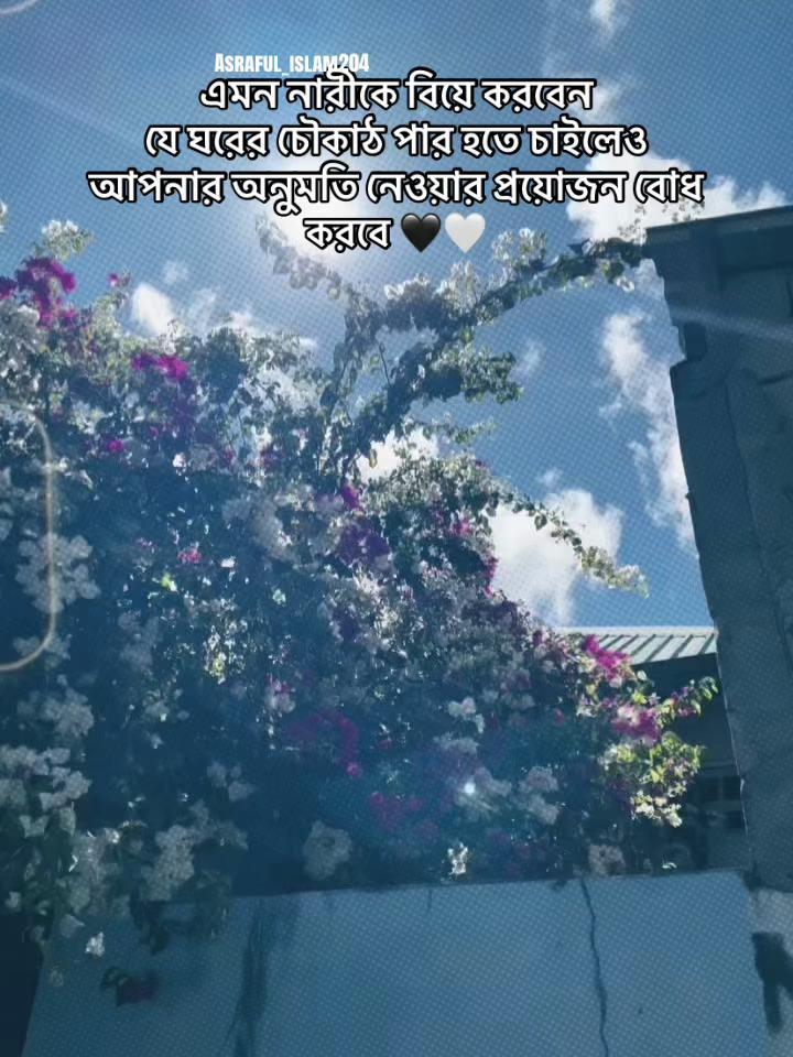 @Asraful