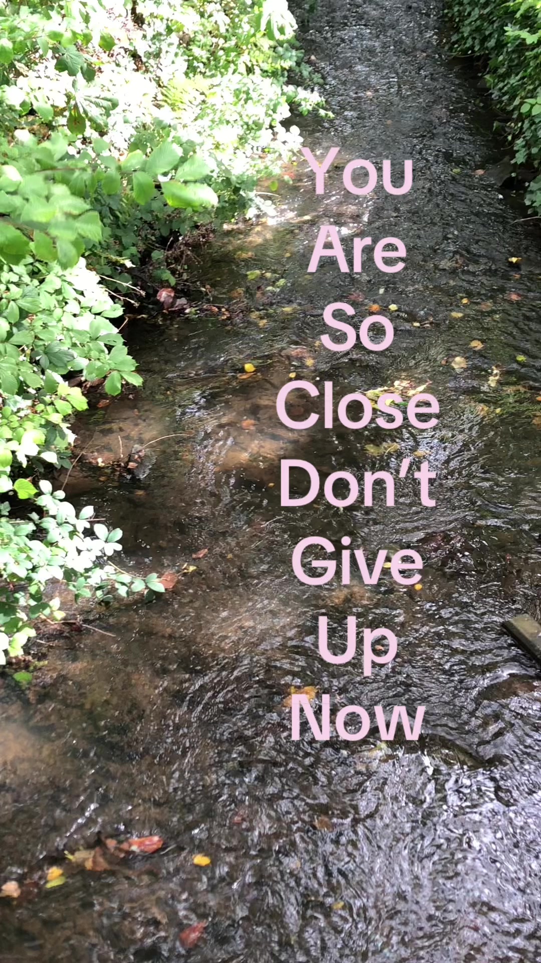 @Nina