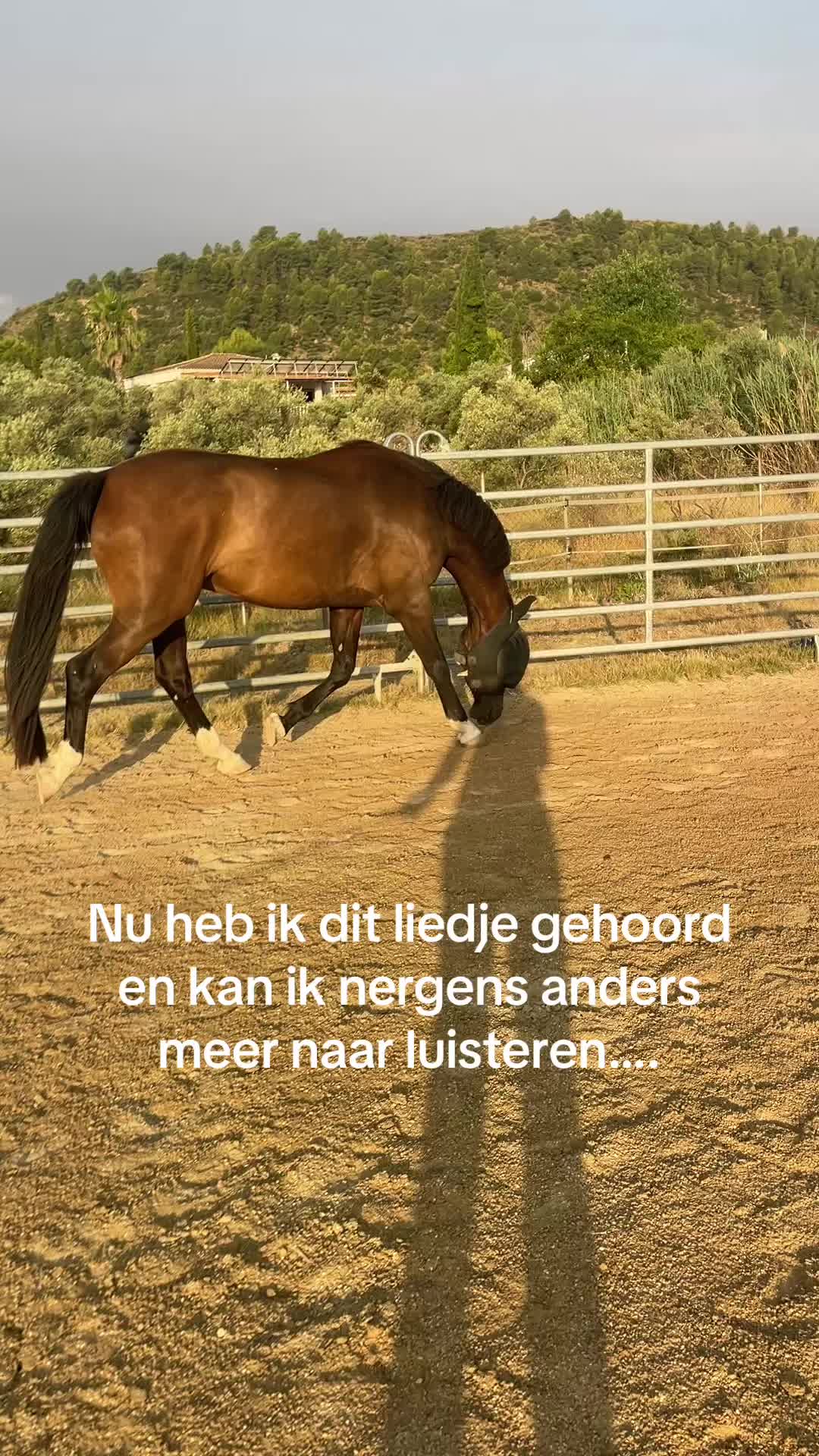 @Liesbeth-EquiViento🐴🇪🇸