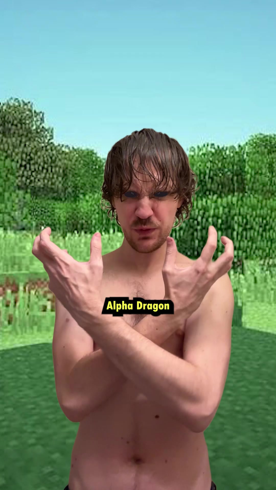 @The Demon Dragon