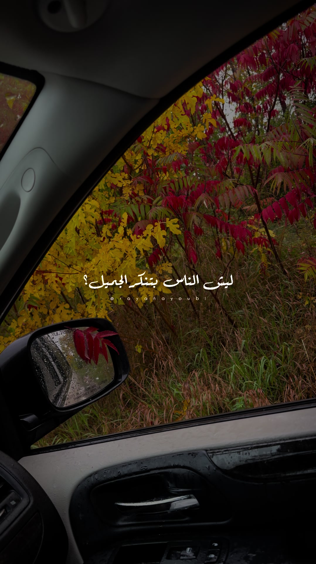 @Rayan El Ayoubi