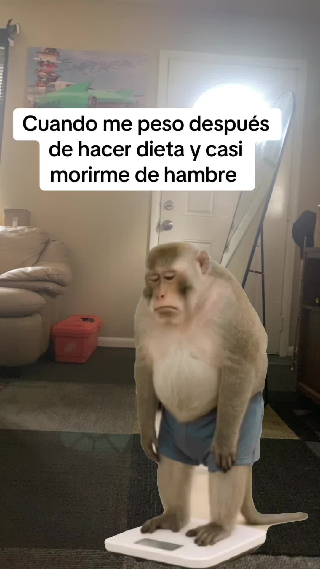 @Xioma