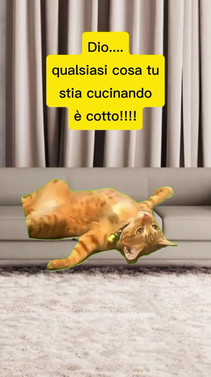 @SILVIA❤❤❤