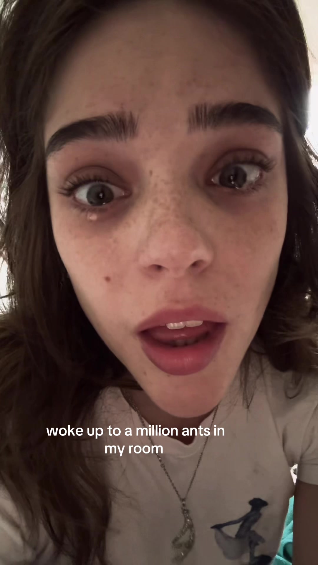 @coolbrbsmh