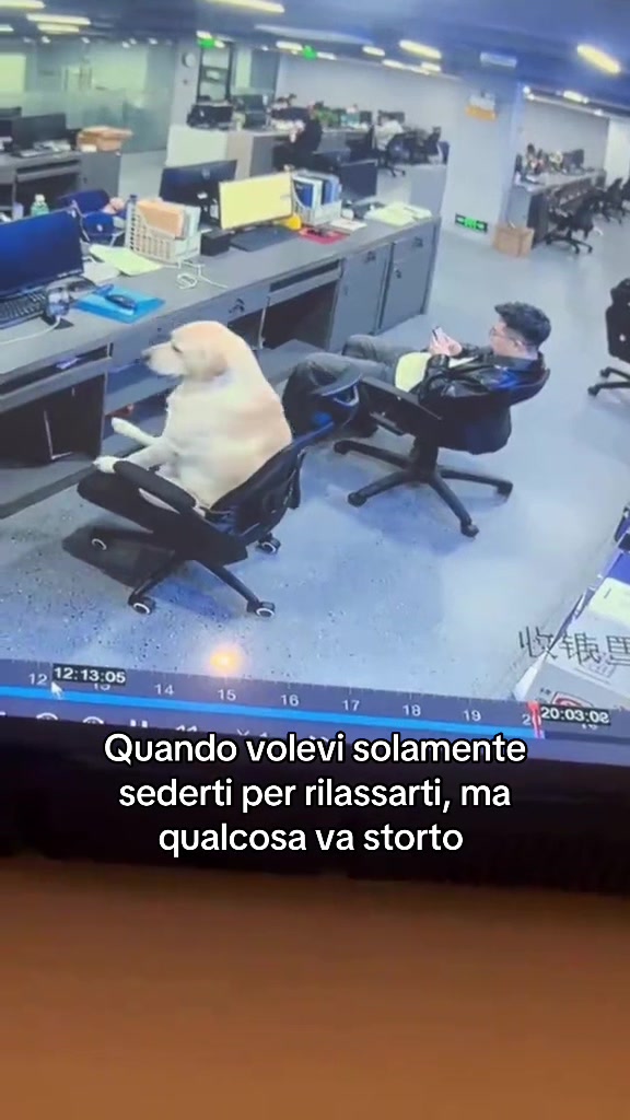 @francescobaccegareal