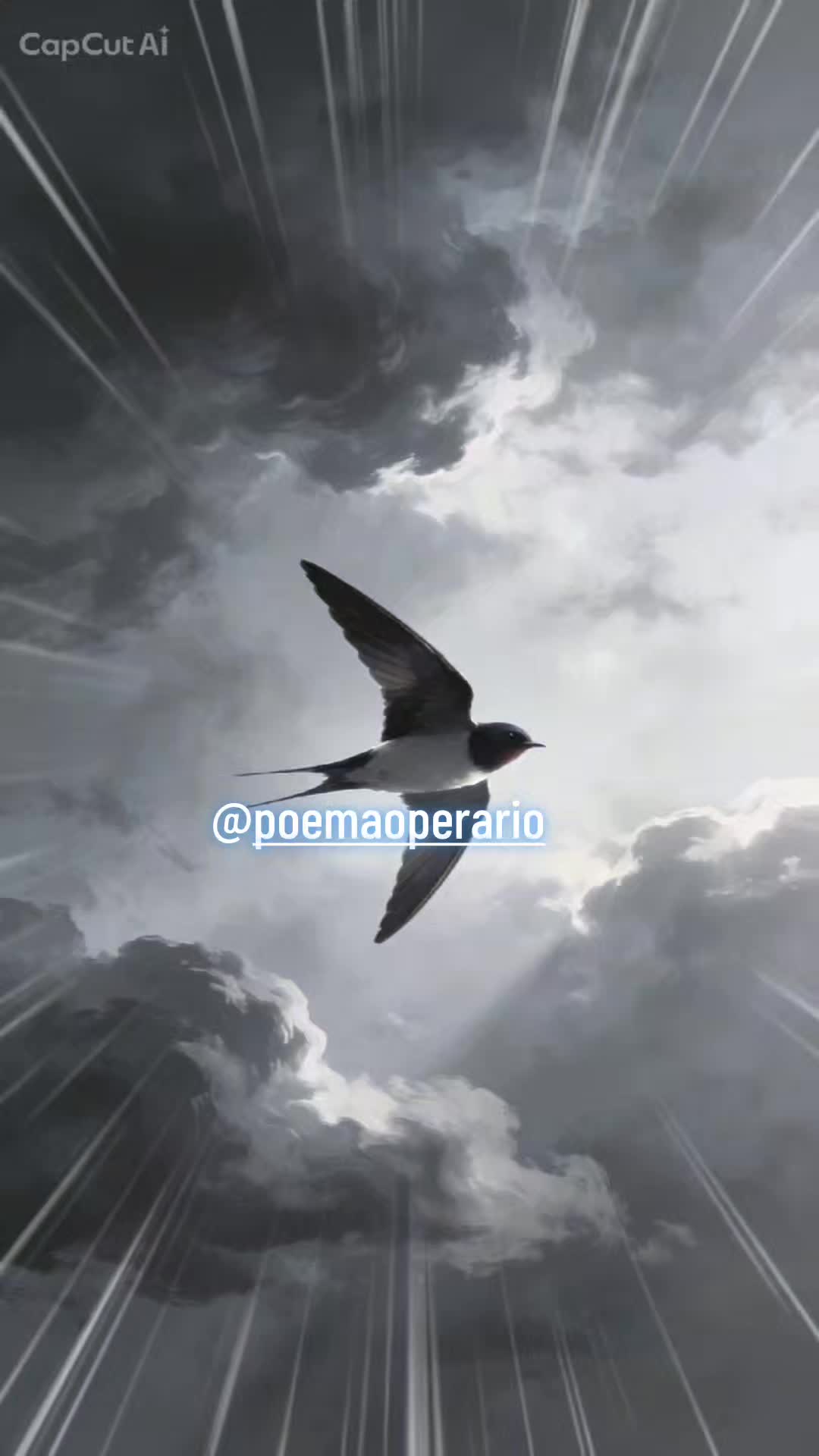@poemaoperario