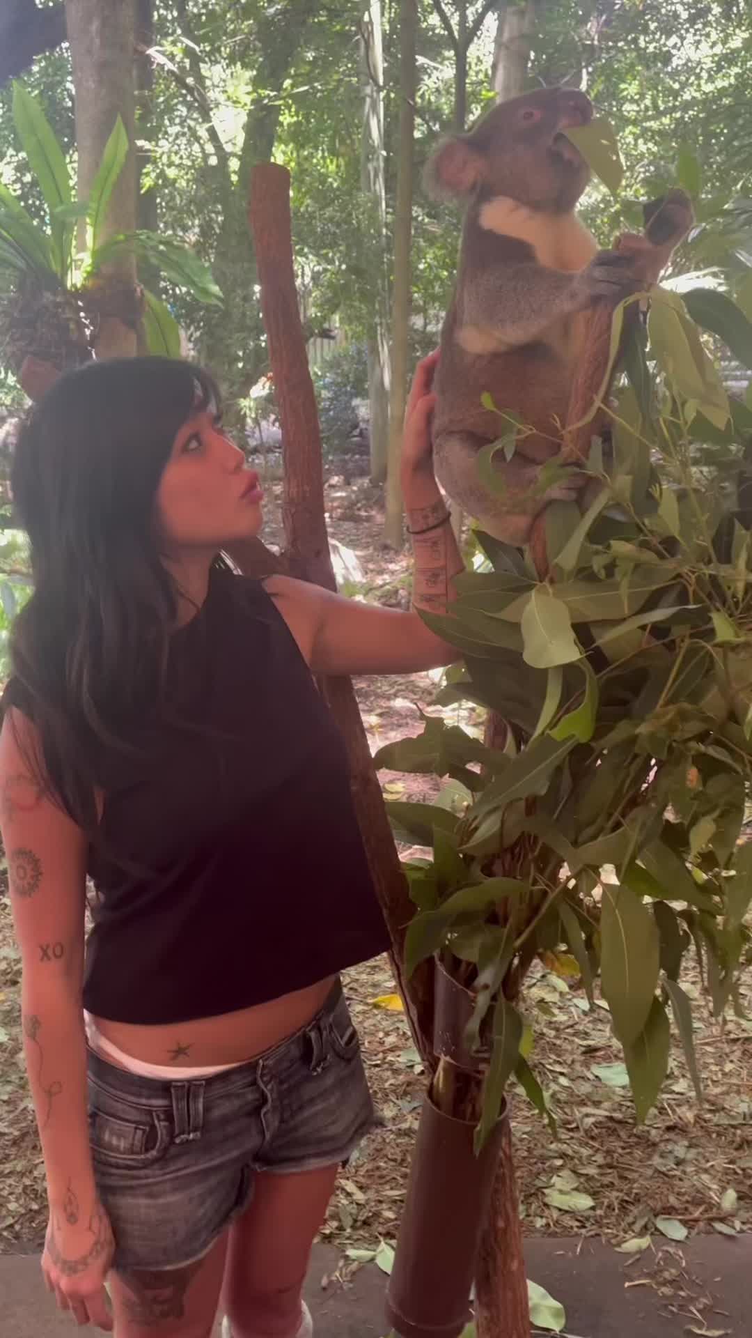 @Beabadoobee