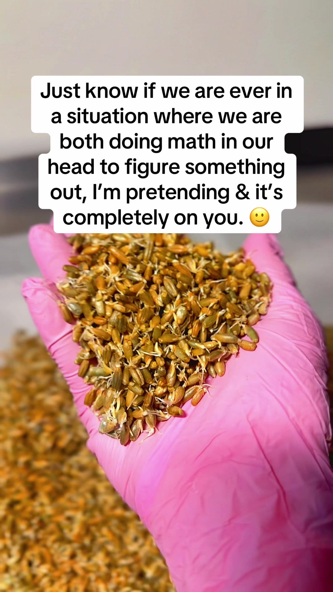 @alimakesbread