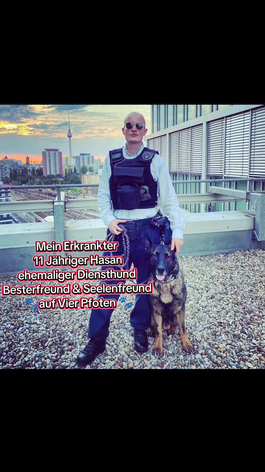 @K9 Palatinus-Unit☑️