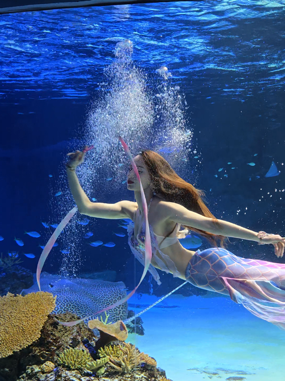 @아나스타샤 🪼 the mermaid