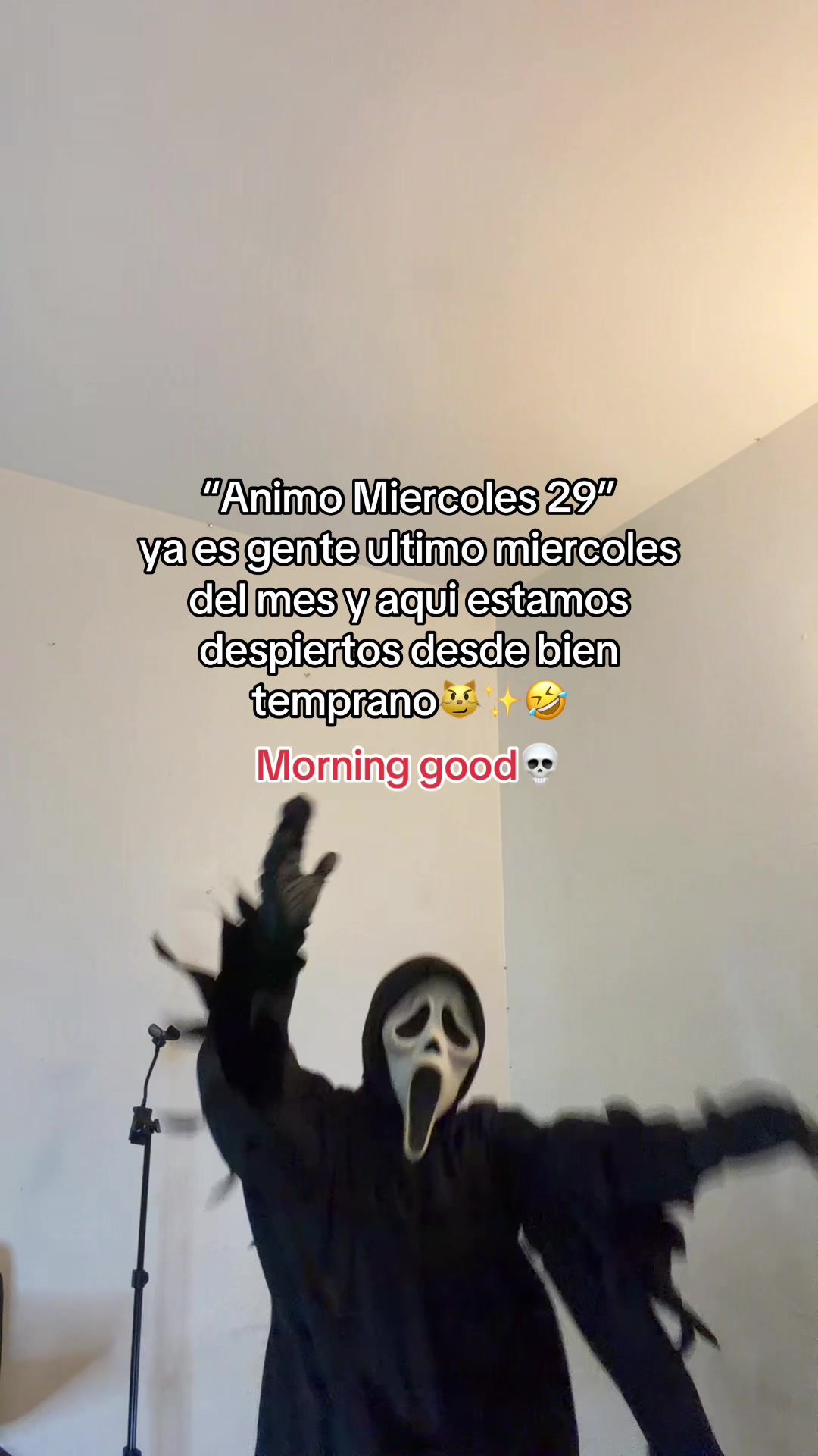 @ghostfaaa