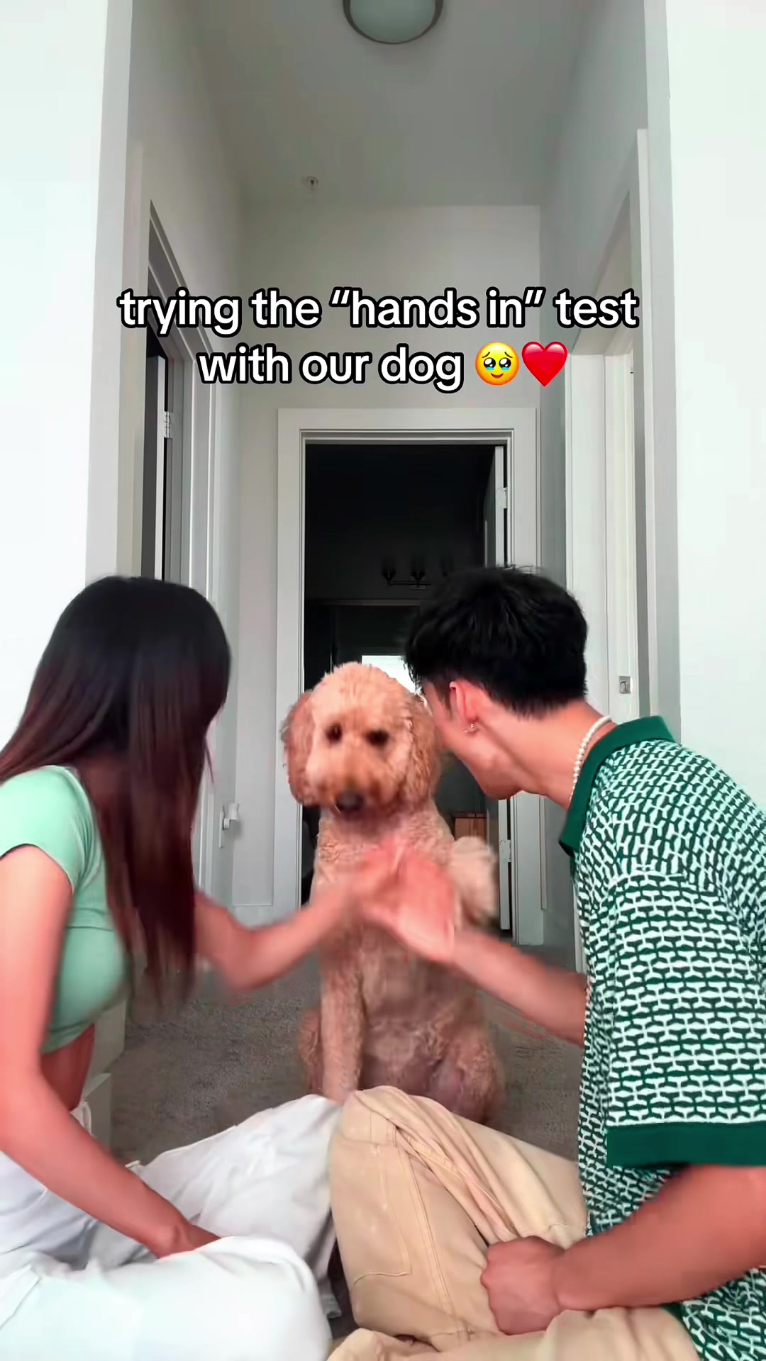 @charliethecharmingpup