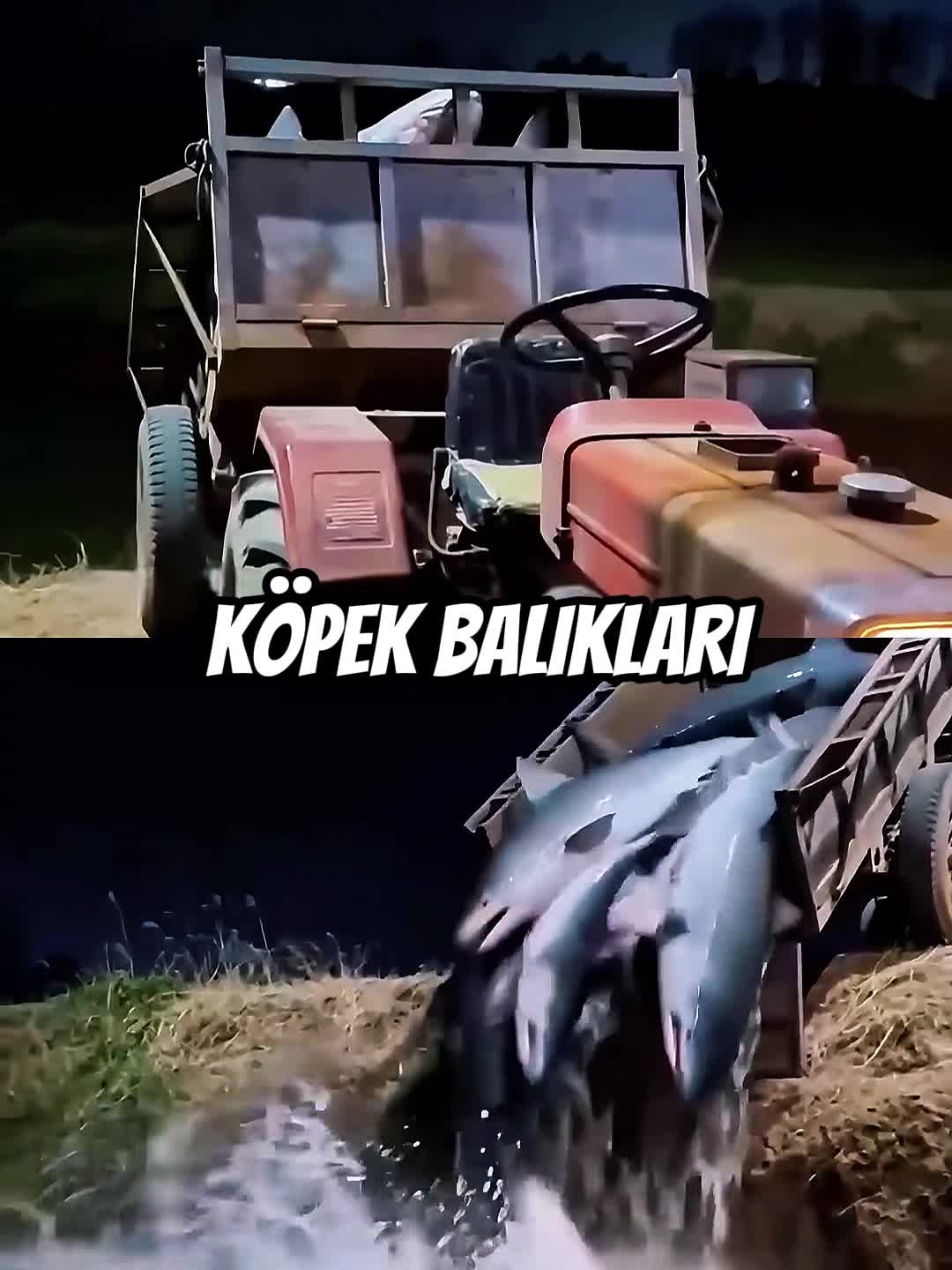@NeYapayBuZekaTiktok