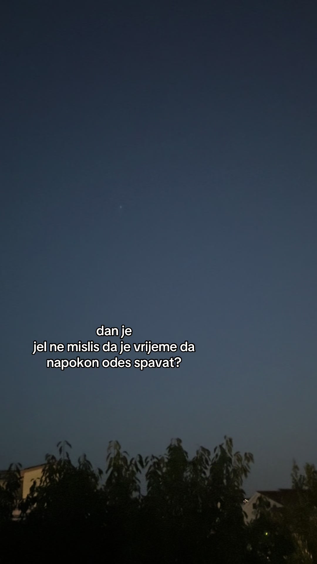 @meduza🪼