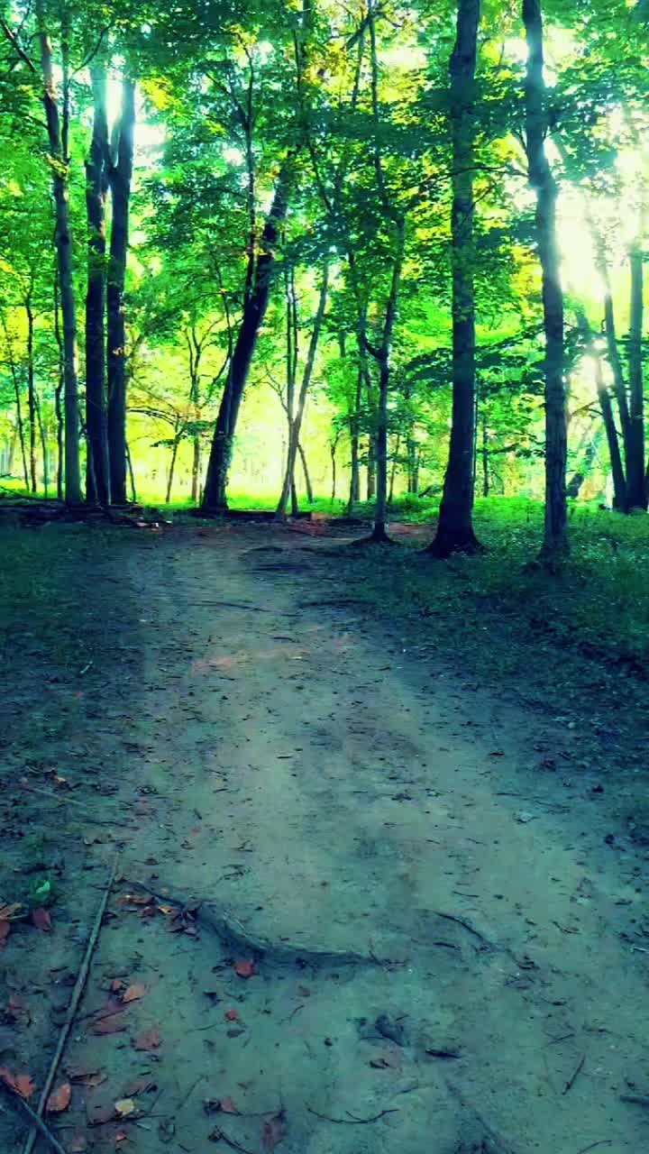 @🌄 Chasing The Sunrise 🌅