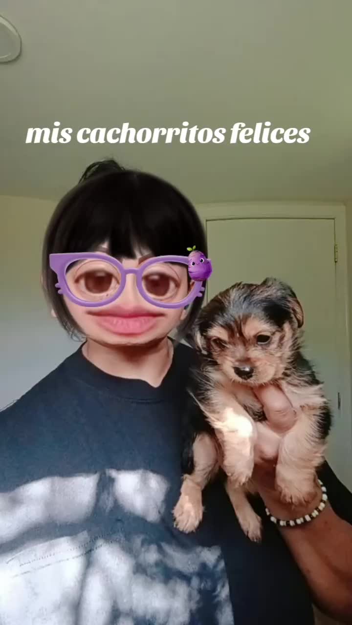 @Lachilangaa 🙏❤️🇲🇽