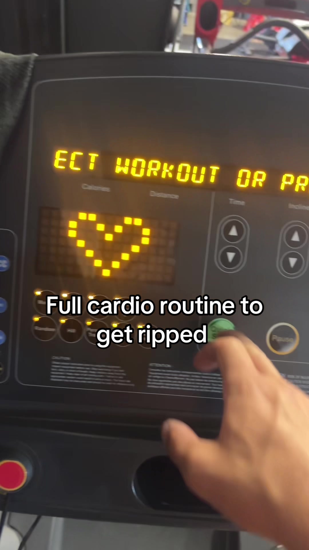 @michael