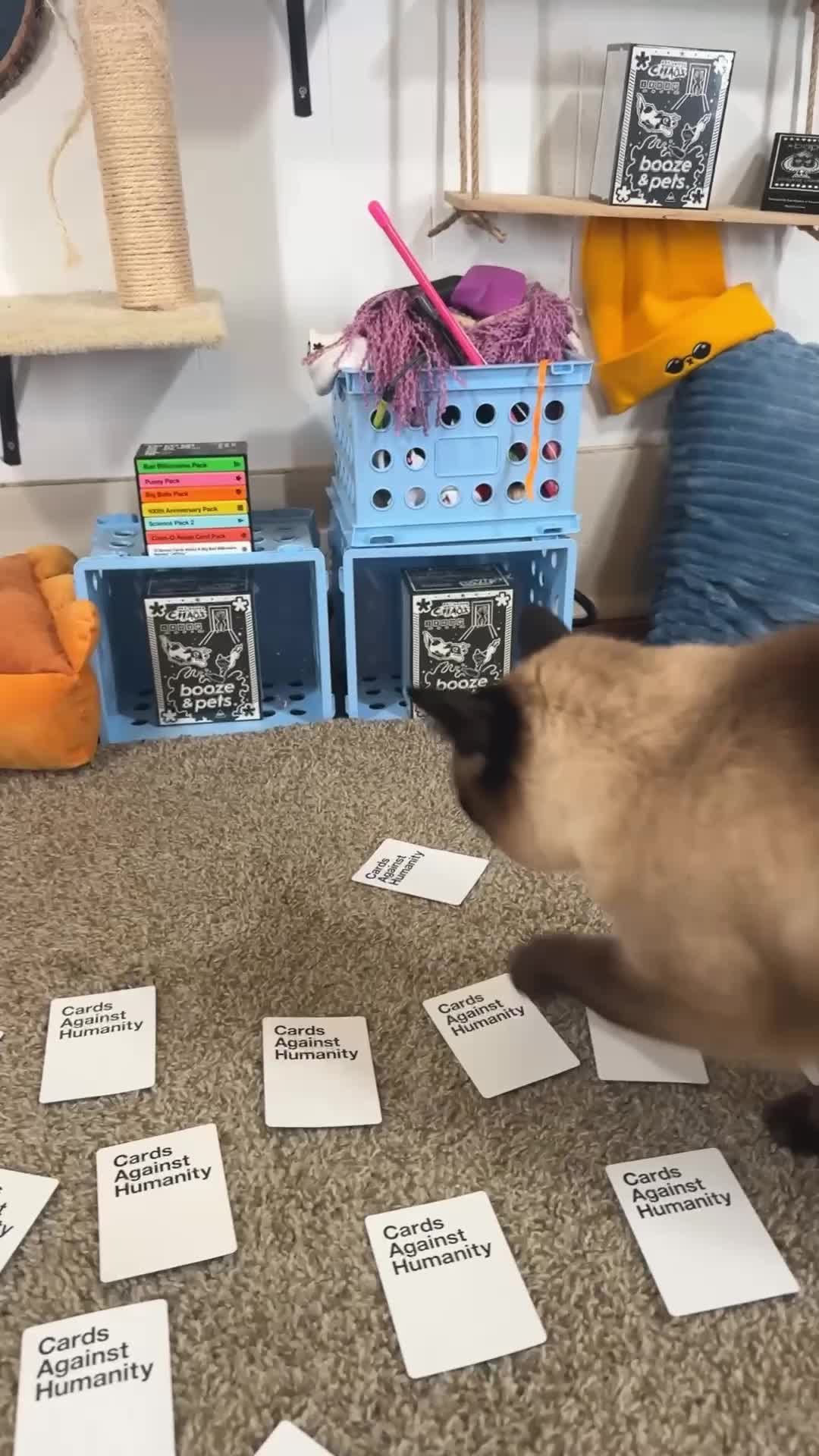 @bap.kat