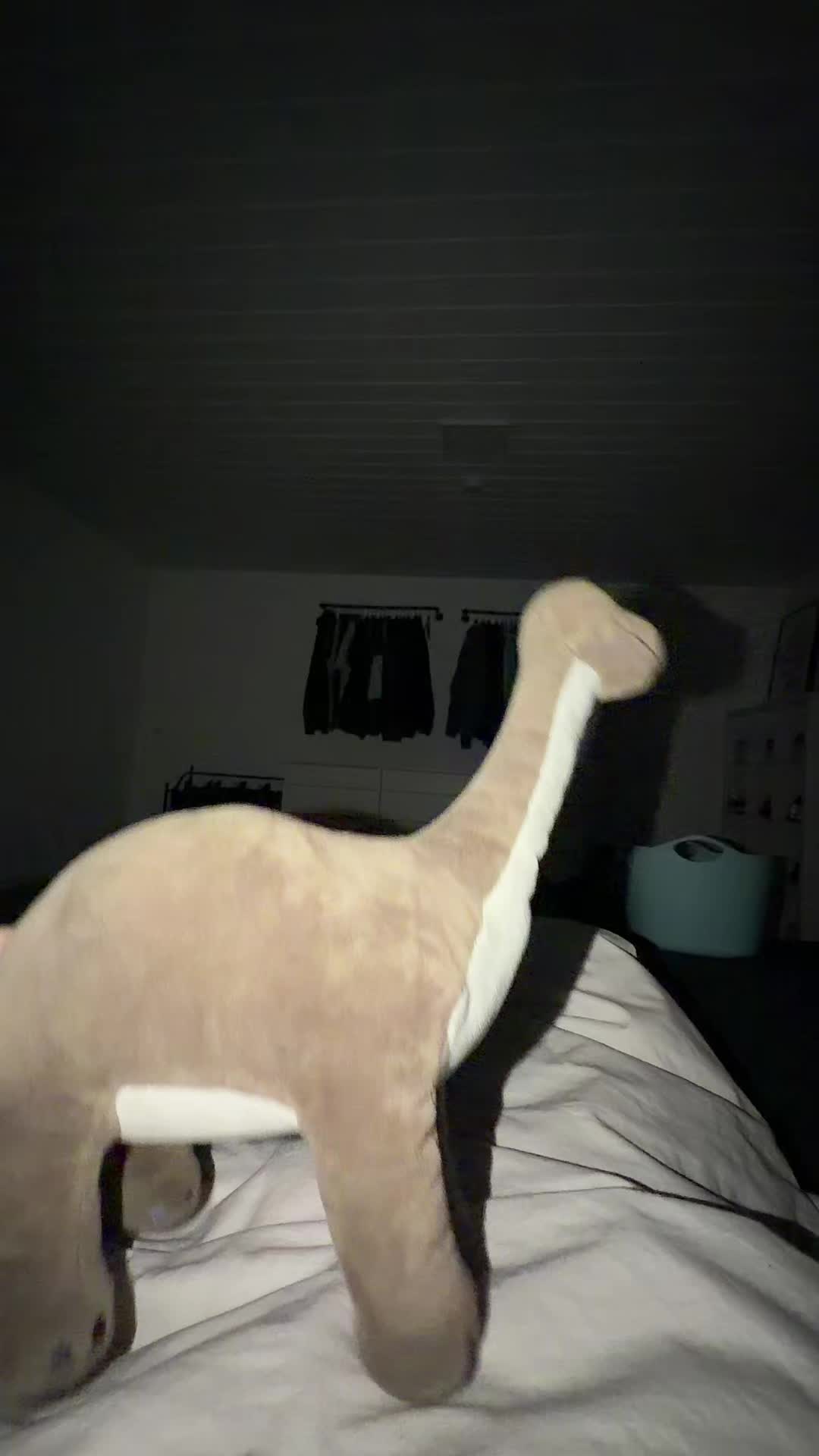 @Dinolino🦕