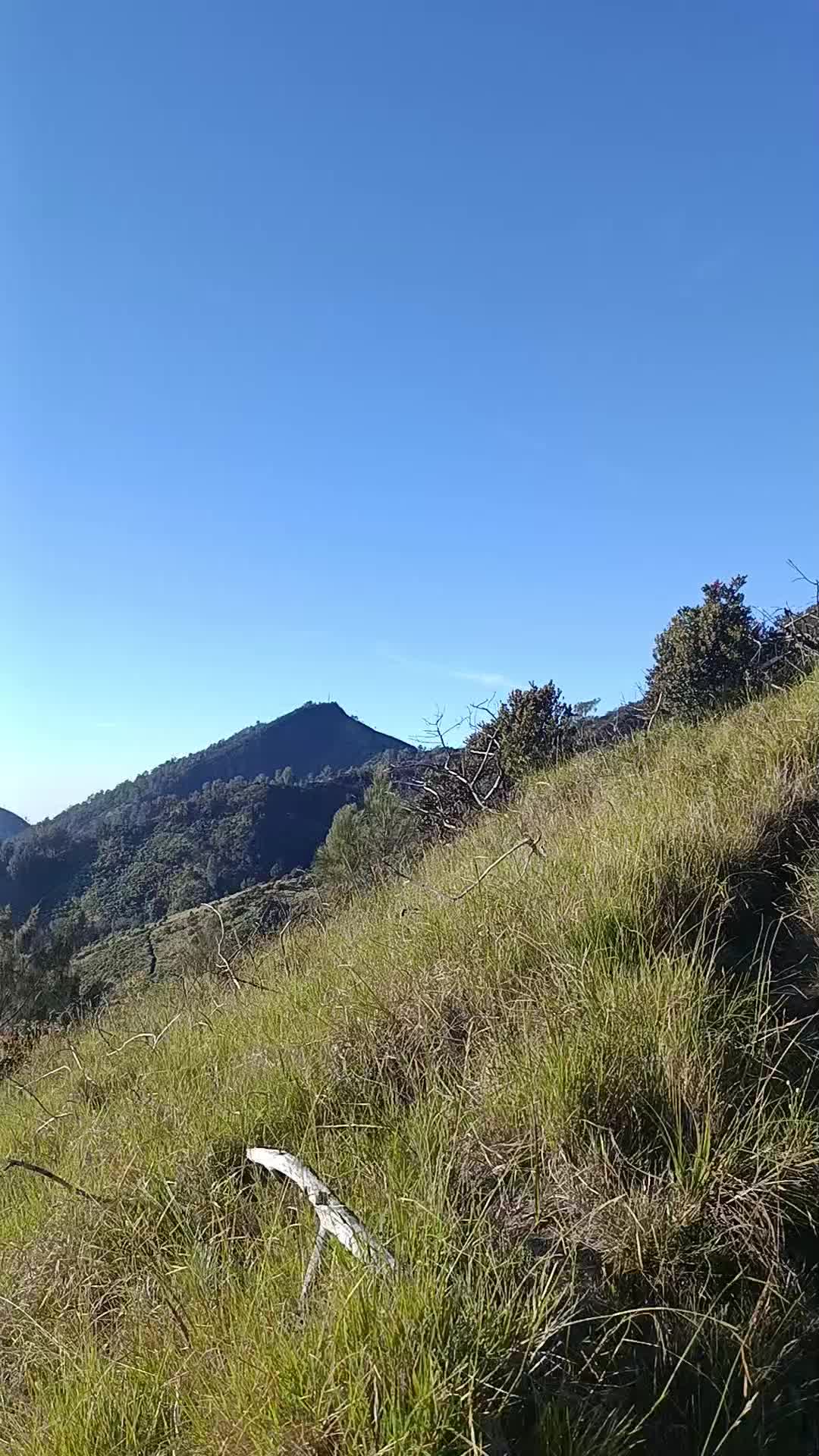 @BC cemorosewu