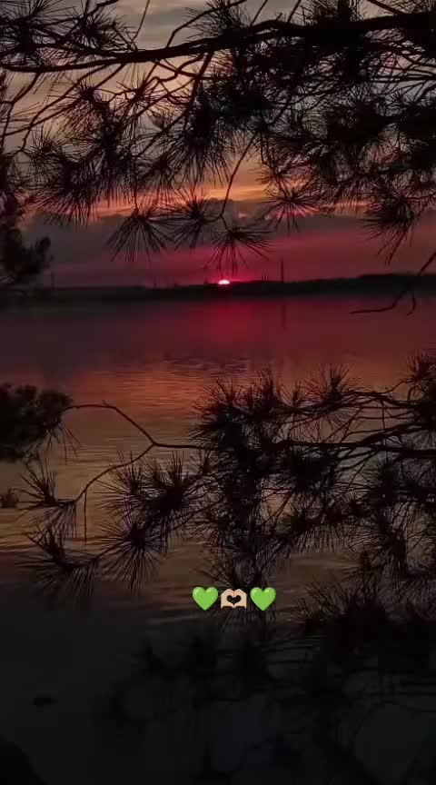@💚[L_E_L_A]💚