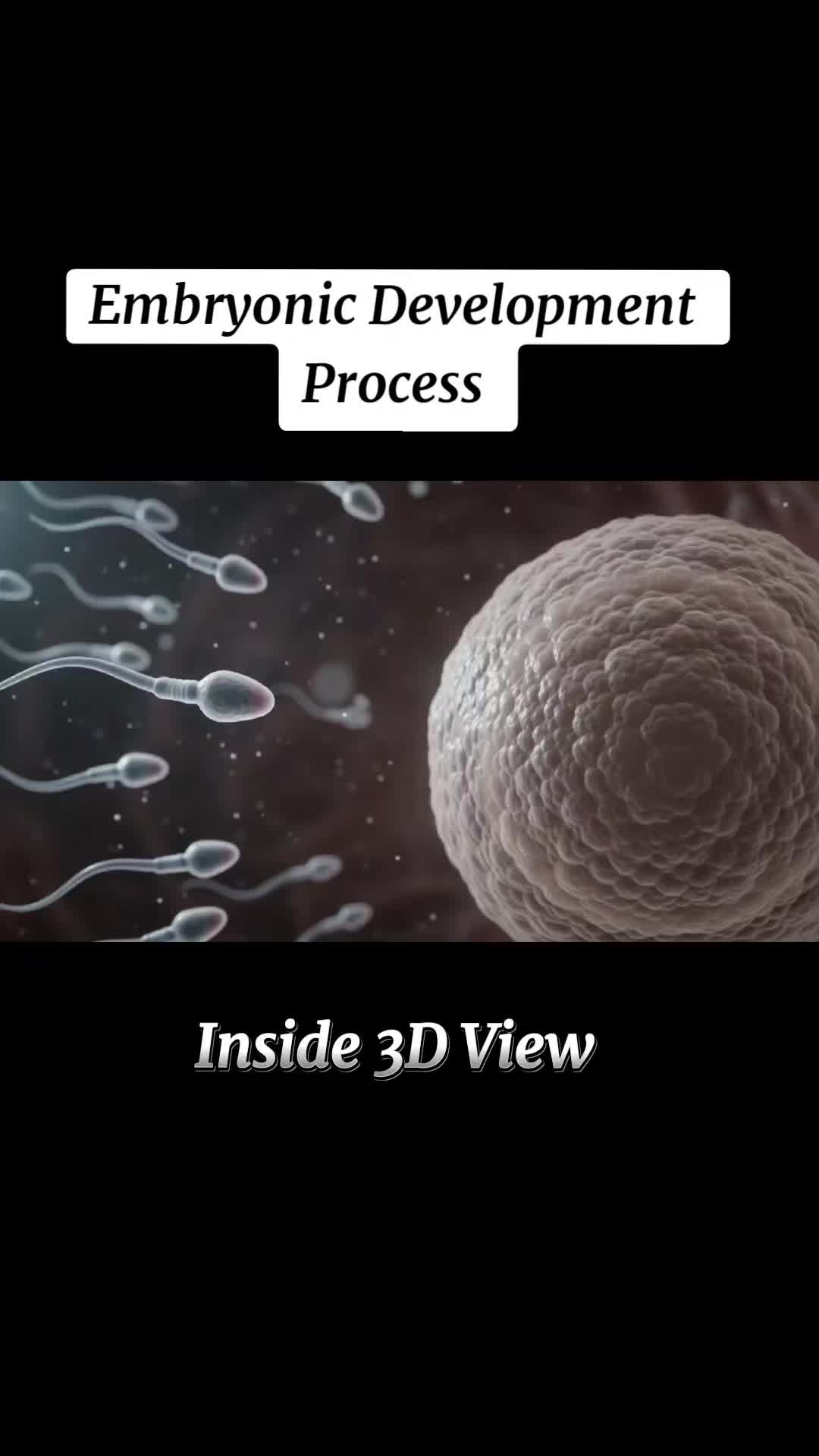 @BABY INSIDE-7