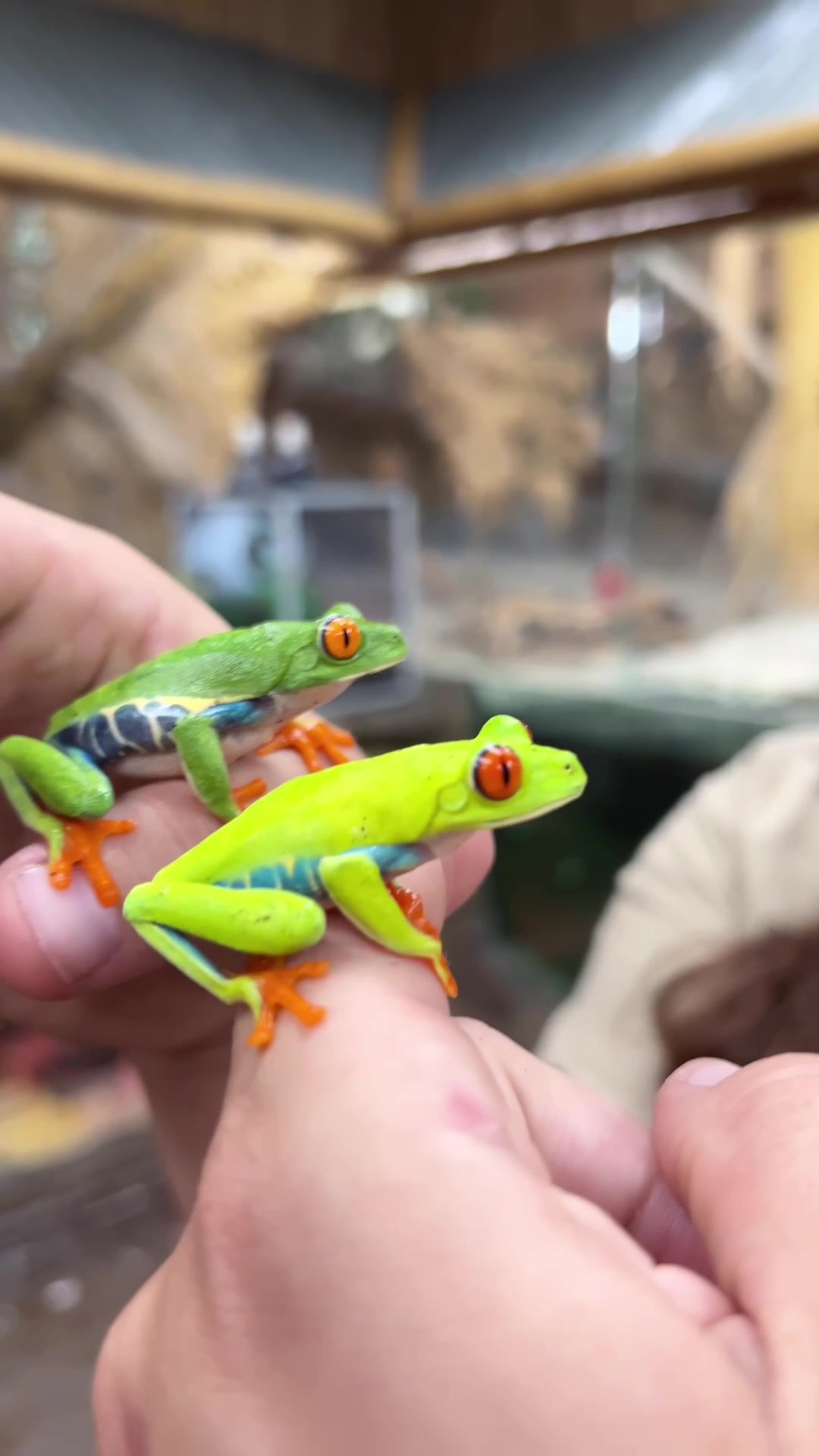 @The Reptile Zoo