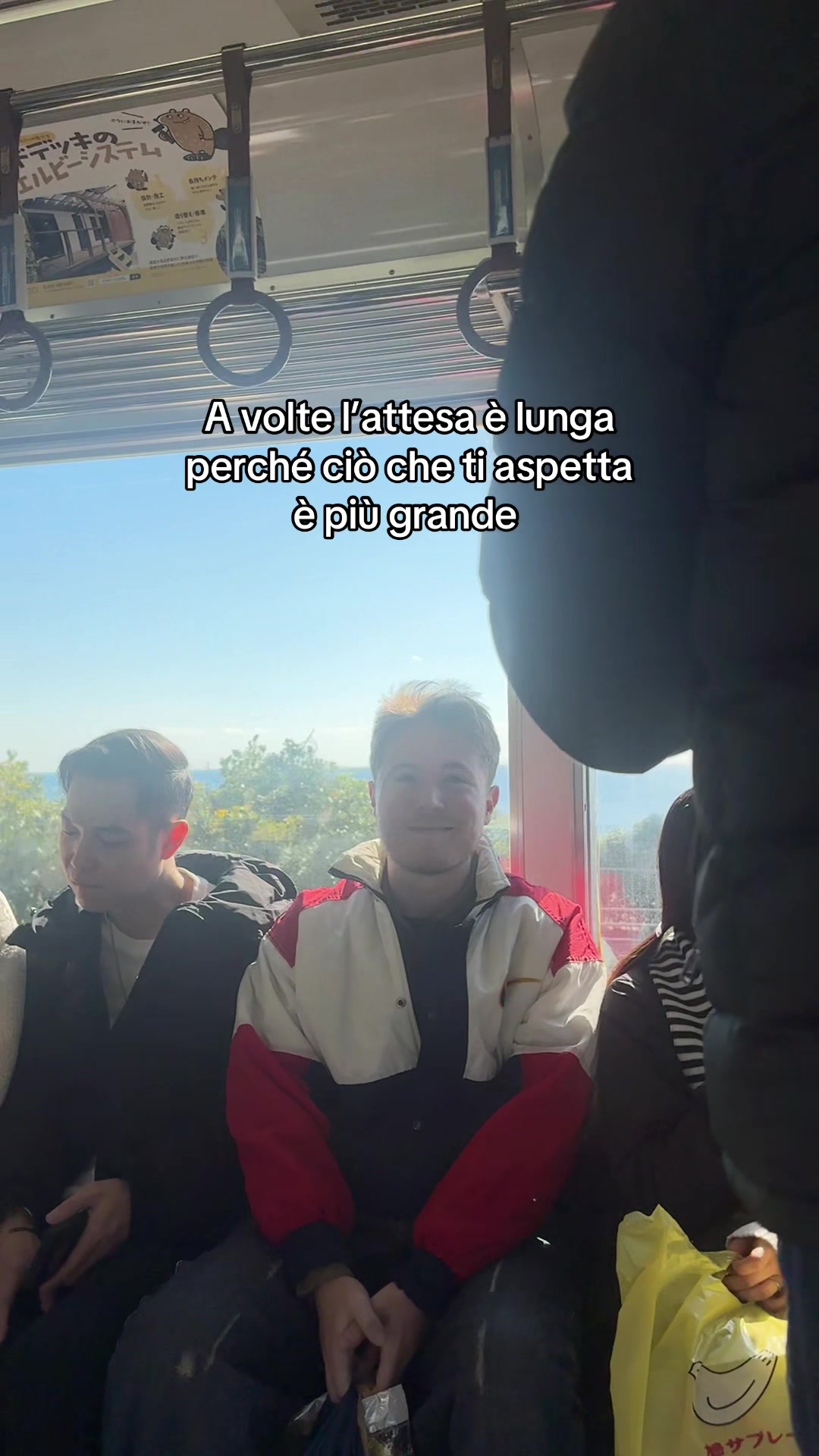 @alfa fan